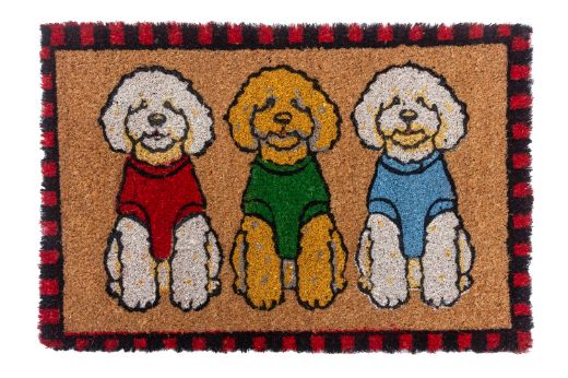 Coir Doormat - 40X60 - Four Paws 4
